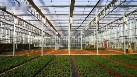 Neues landwirtschaftliches intelligentes Hydroponiksystem für Gemüse und Blumen