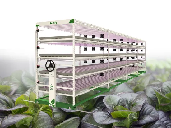 Gewächshaus-Landwirtschafts-Mehrschichtsystem Ebbe-Flut-Anbausysteme für Hydrokultur-Pflanzen-Saatbett
