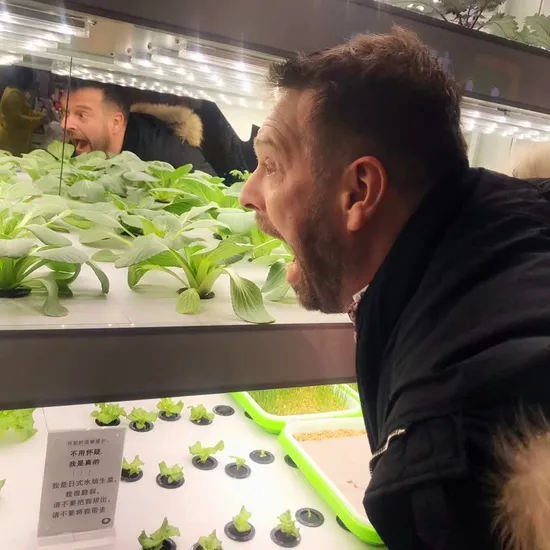 Landwirtschaftliches Hydroponiksystem Smart Home Vertical Farming Indoor Hydroponiksystem für Salat
