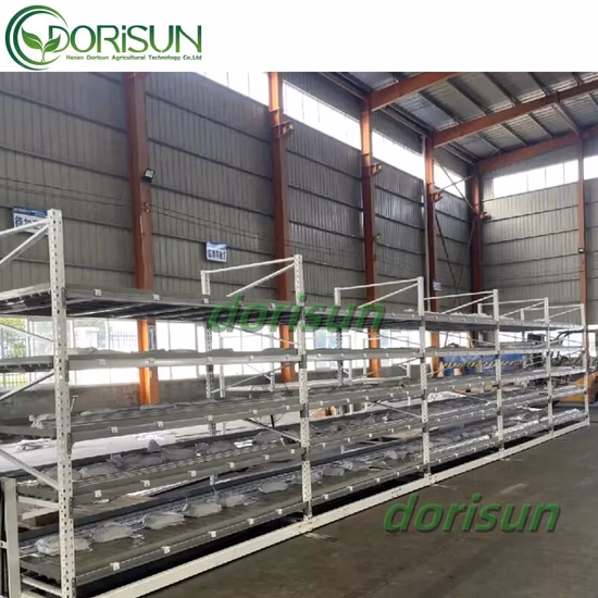 Bestes Saatbeet-Pflanz- und Anbau-LED-Wachstumslichttisch-Ebbe- und Flut-Rollbanksystem